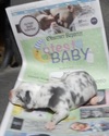 Small Photo #8 Great Dane Puppy For Sale in SPRAGGS, PA, USA