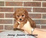 Image preview for Ad Listing. Nickname: Jenny