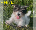 Image preview for Ad Listing. Nickname: Hilda