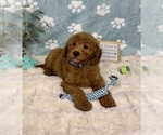 Image preview for Ad Listing. Nickname: Jackson
