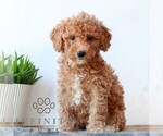 Image preview for Ad Listing. Nickname: Cassie
