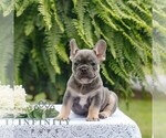 Image preview for Ad Listing. Nickname: Masterpiece