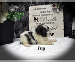 Image preview for Ad Listing. Nickname: Ivy