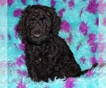 Image preview for Ad Listing. Nickname: black 1
