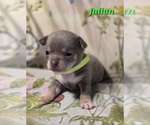 Image preview for Ad Listing. Nickname: Julian