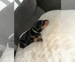 Image preview for Ad Listing. Nickname: Green collar