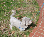 Image preview for Ad Listing. Nickname: RUSTY