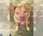 Small #1 Breeder Profile image