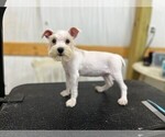 Image preview for Ad Listing. Nickname: Pretty Girl