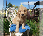 Image preview for Ad Listing. Nickname: Heath