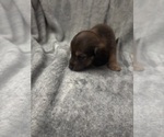  - Photo #2