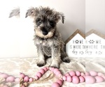Image preview for Ad Listing. Nickname: Piper