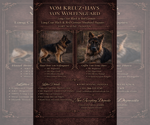 German Shepherd Dog Puppy for sale in DECATUR, IN, USA