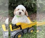Image preview for Ad Listing. Nickname: Arlo