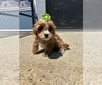 Image preview for Ad Listing. Nickname: Delilah