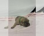 Image preview for Ad Listing. Nickname: Green collar