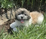 Image preview for Ad Listing. Nickname: June