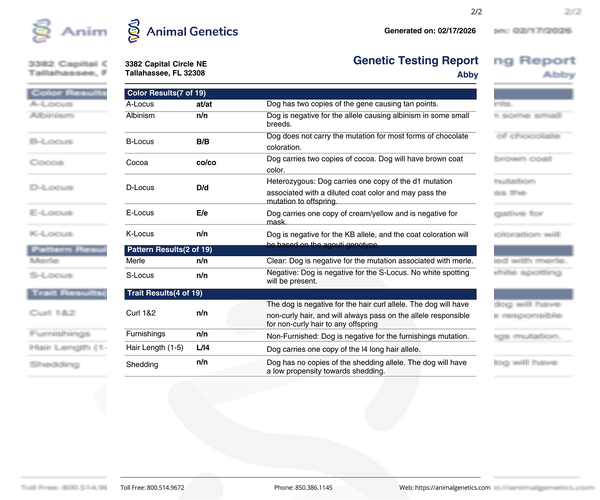 Medium Photo #48 French Bulldog Puppy For Sale in GOSHEN, IN, USA