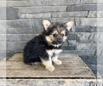 Small #1 Yoranian