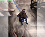 Small #1 Breeder Profile image