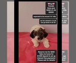 Image preview for Ad Listing. Nickname: Dip
