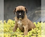 Image preview for Ad Listing. Nickname: Tanya