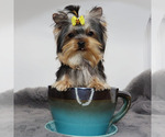 Image preview for Ad Listing. Nickname: Micro Twinkie