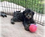 Image preview for Ad Listing. Nickname: Macey