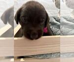Image preview for Ad Listing. Nickname: Willow