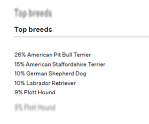 Denali - Female American Pit Bull Terrier-German Shepherd Dog Mix Dog for Adoption - Photo #3