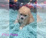 Image preview for Ad Listing. Nickname: Fiona