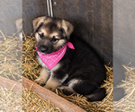 Image preview for Ad Listing. Nickname: Avery