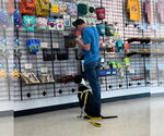 Small #7 German Shorthaired Pointer Mix