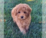 Image preview for Ad Listing. Nickname: Bryan