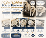 Small Photo #1 English Cream Golden Retriever Puppy For Sale in NEWBERRY, MI, USA