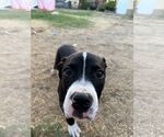 Small #2 Breeder Profile image