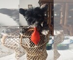 Image preview for Ad Listing. Nickname: SWEET BABY