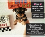 Image preview for Ad Listing. Nickname: Blair