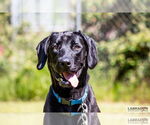 Small #3 Breeder Profile image