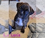 Image preview for Ad Listing. Nickname: Lexie