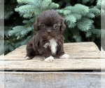 Image preview for Ad Listing. Nickname: Halle