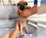 Small Chug