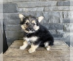 Small #2 Yoranian