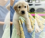 Image preview for Ad Listing. Nickname: Kip