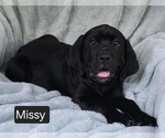 Image preview for Ad Listing. Nickname: Missy