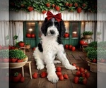 Image preview for Ad Listing. Nickname: Clarabelle