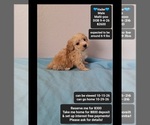 Image preview for Ad Listing. Nickname: Vader