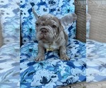 Image preview for Ad Listing. Nickname: Boy 3