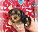 Image preview for Ad Listing. Nickname: Mac