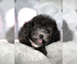 Image preview for Ad Listing. Nickname: Sunnie